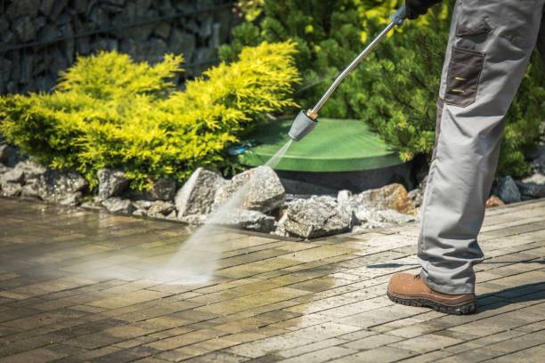 Best Window and Screen Pressure Cleaning in Bridge City, TX