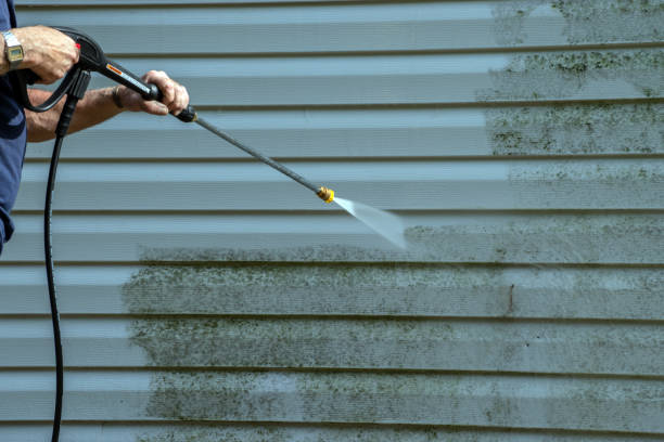 Best Building Exterior Pressure Washing in Bridge City, TX