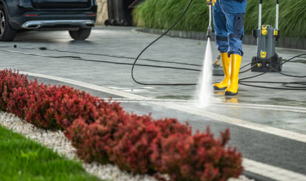 Best Vinyl Siding Pressure Washing in Bridge City, TX